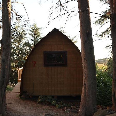 Hamilton Golf Lodge Zewnętrze zdjęcie
