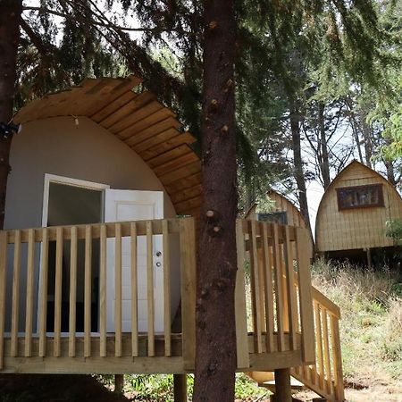 Hamilton Golf Lodge Zewnętrze zdjęcie