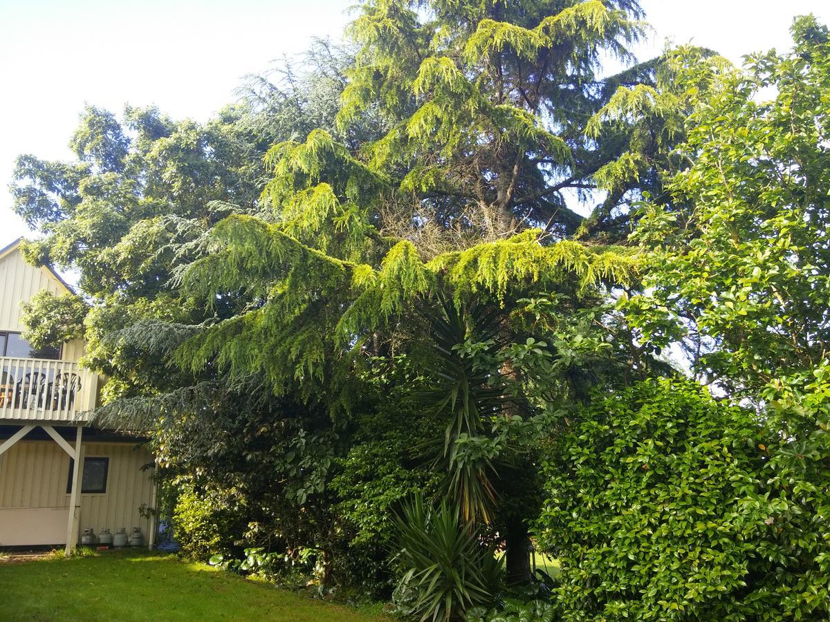 Hamilton Golf Lodge Zewnętrze zdjęcie
