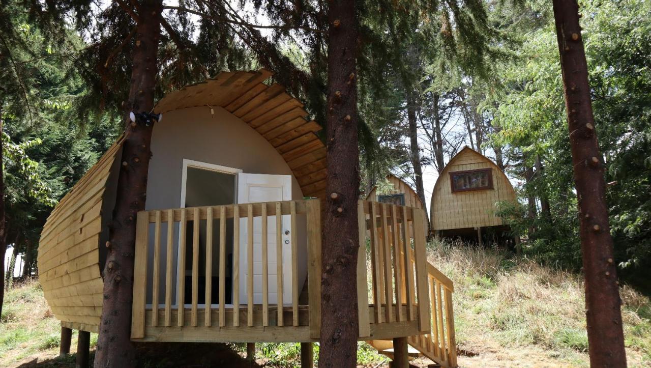 Hamilton Golf Lodge Zewnętrze zdjęcie