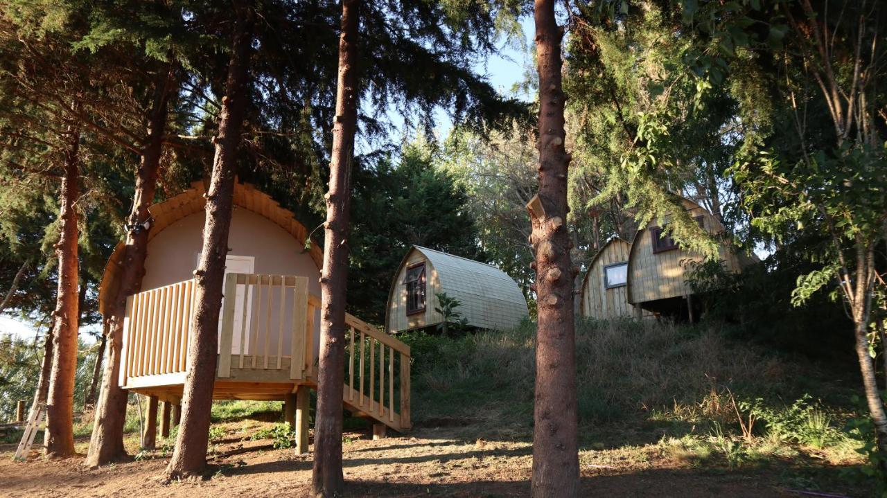Hamilton Golf Lodge Zewnętrze zdjęcie